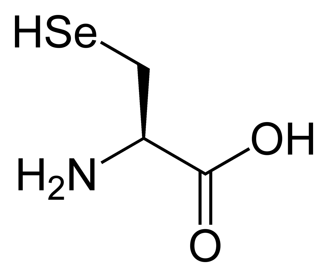 Онкопрофилактика